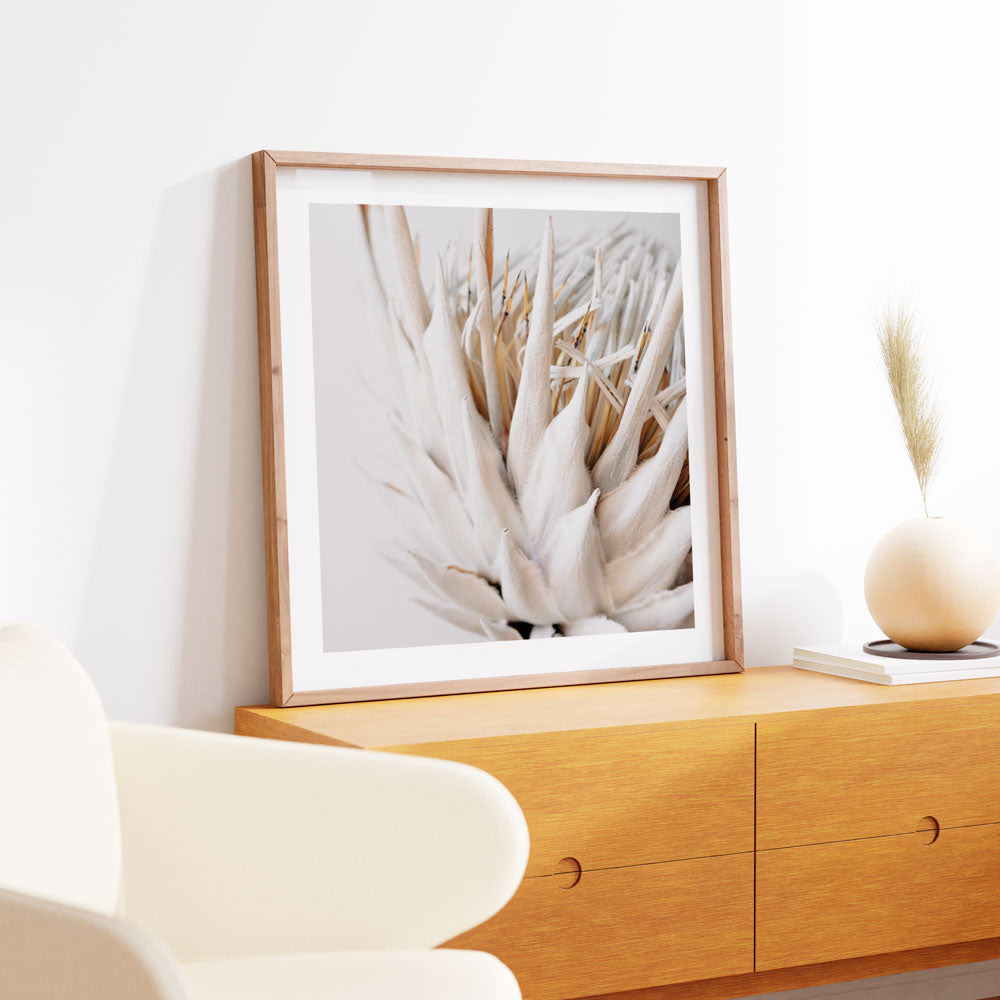 Stunning white framed protea flower photo, ideal for wall art and home decoration.