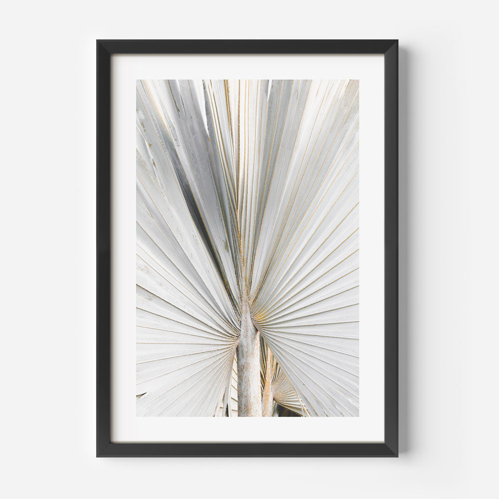Silver Palm Frond Art Print