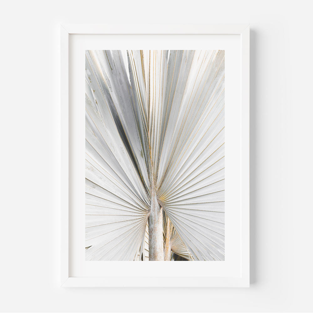 Silver Palm Frond Art Print