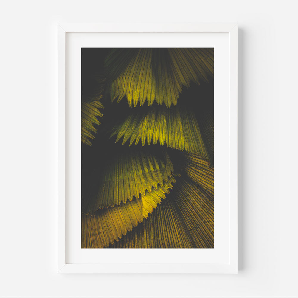 A framed photograph featuring a close-up of green and yellow palm fronds.