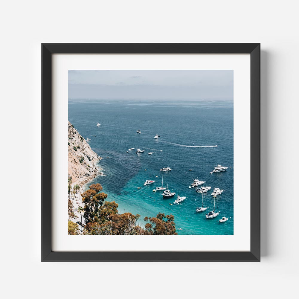 Captivating Catalina Island photo art for home decor.
