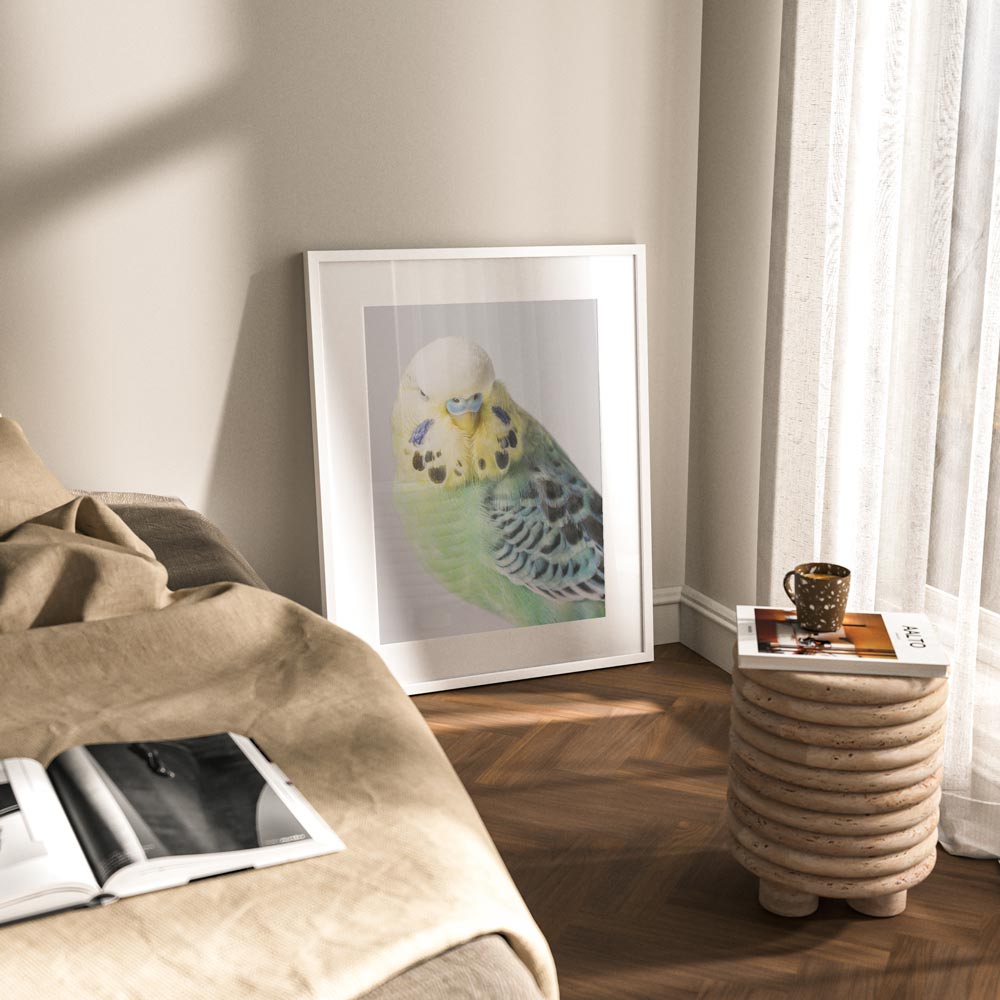 Green Whitecap Budgerigar Art Print