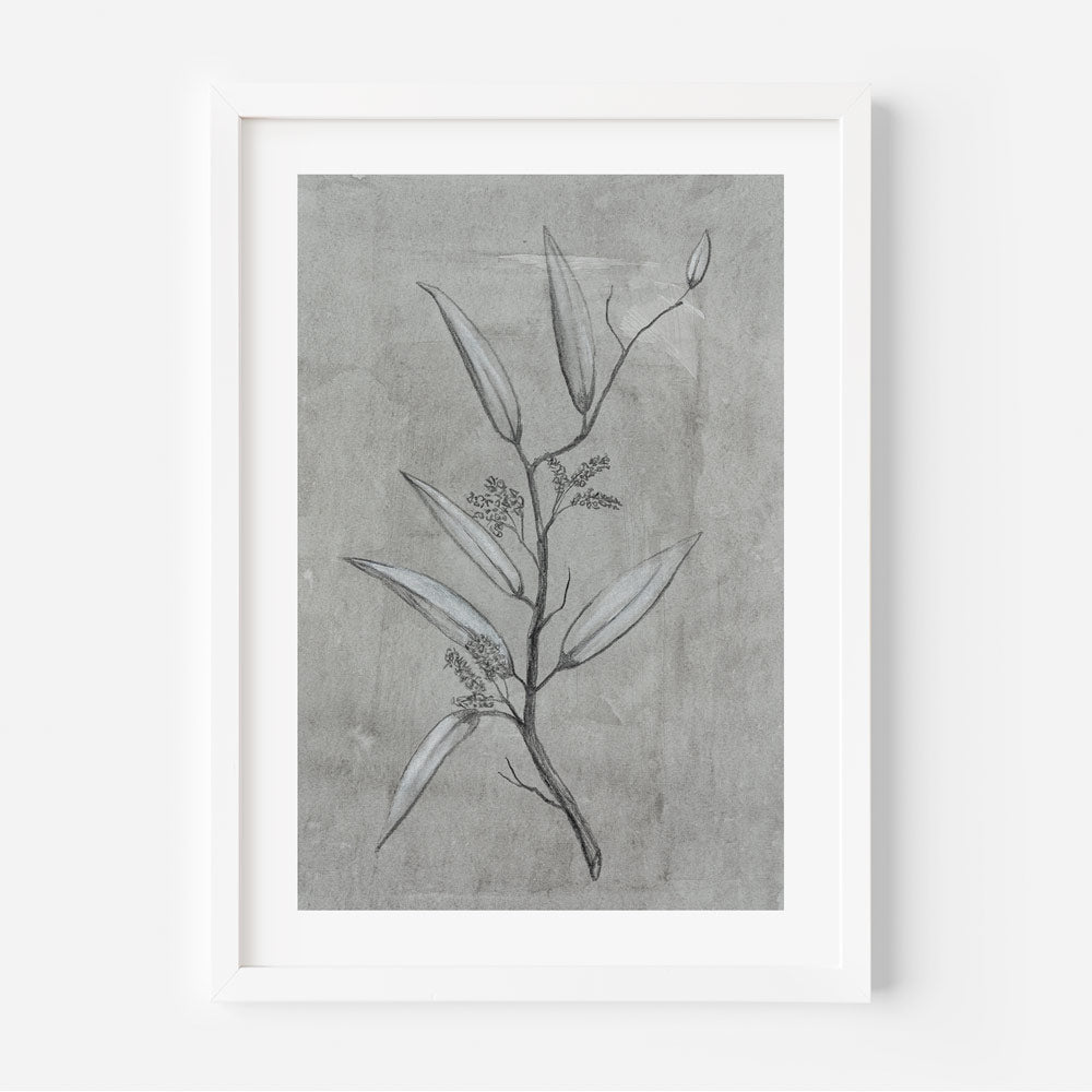A framed art piece featuring a black and white photograph of a plant with grey leaves against a neutral background.