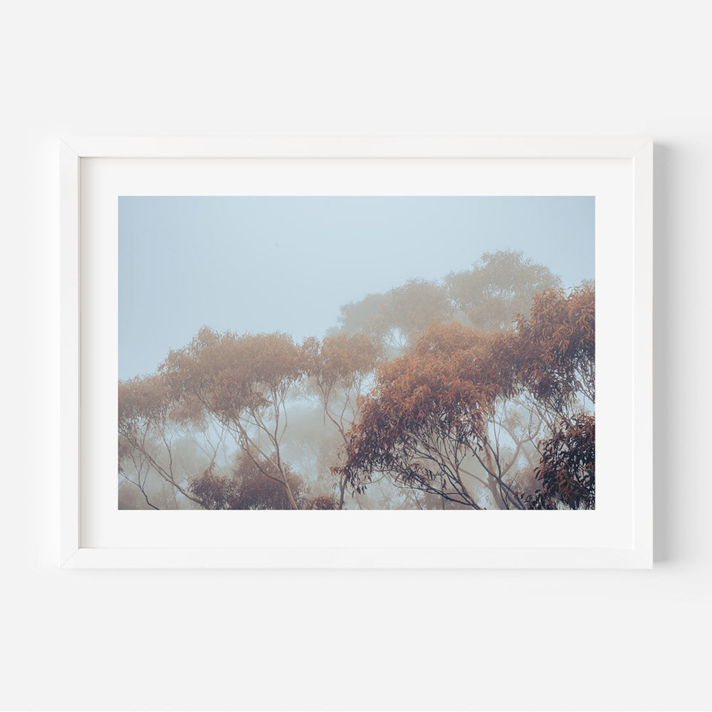 In the Mist Art Print