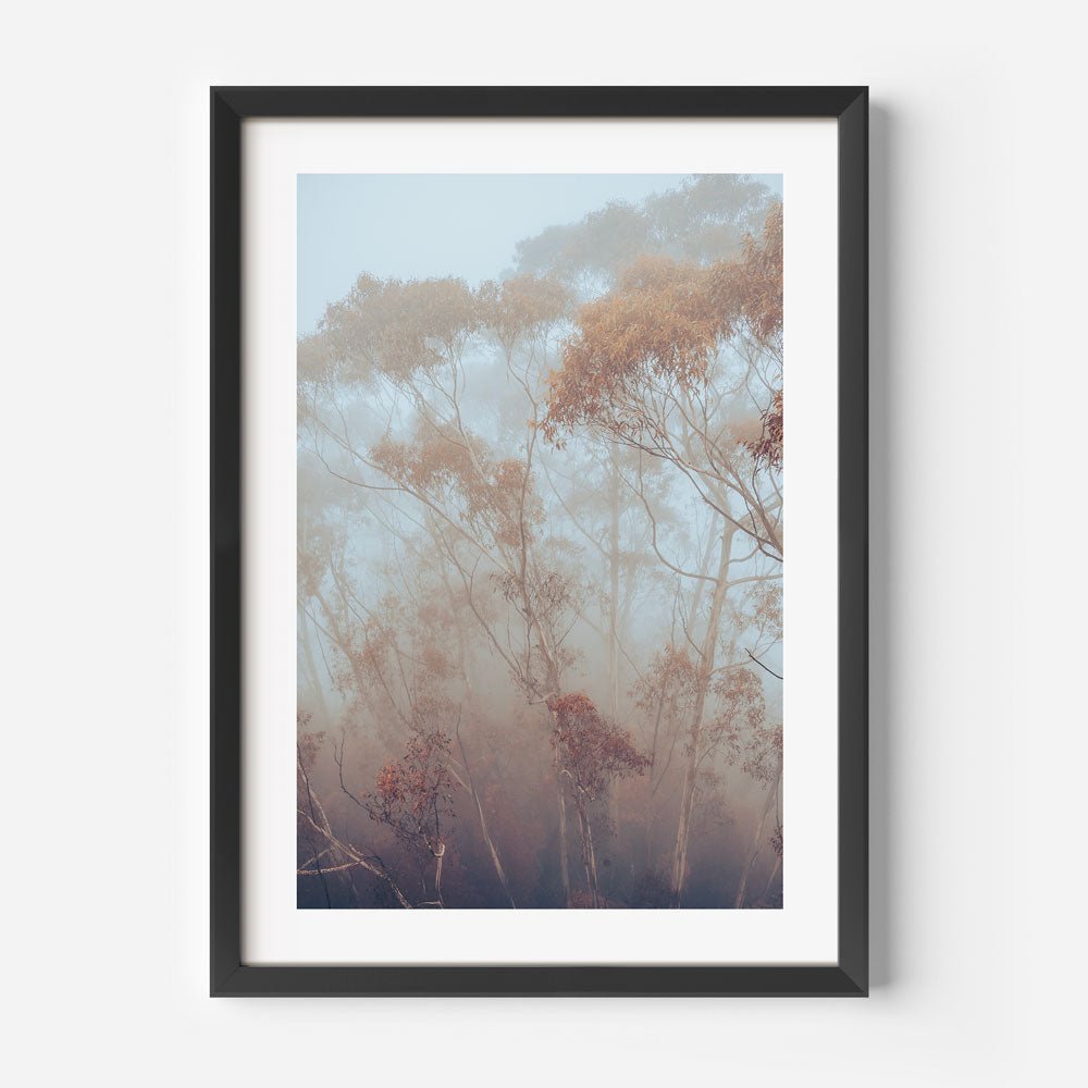 Misty Gum Land Art Print