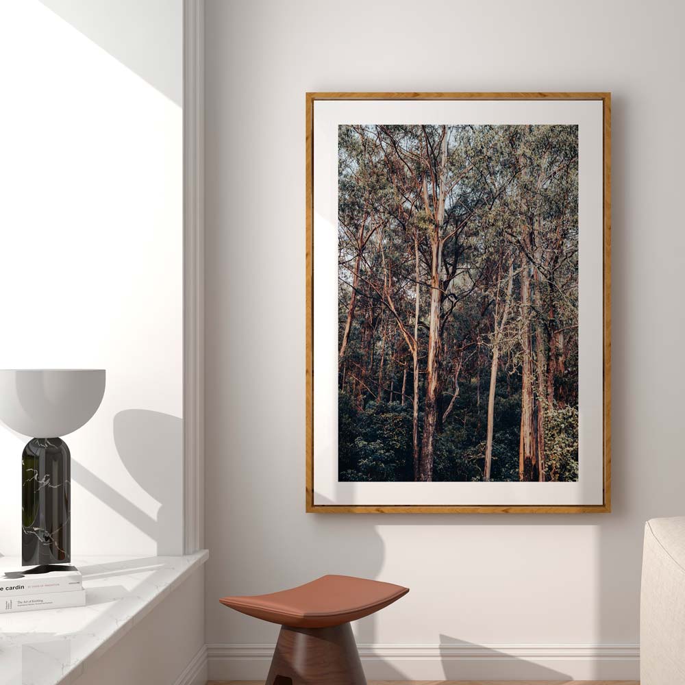 Kangaroo Valley II Art Print