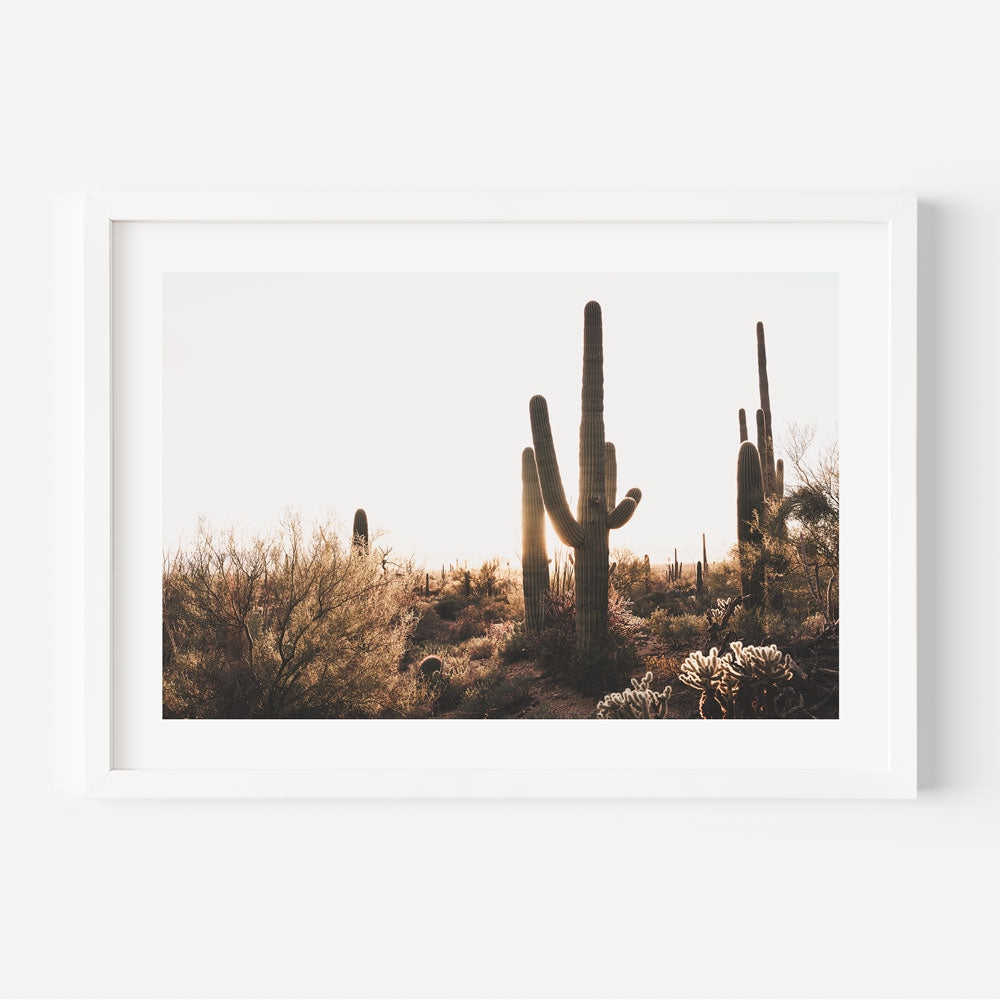 A framed art print featuring a landscape photograph of Saguaro cacti in the desert, predominantly green and yellow tones.