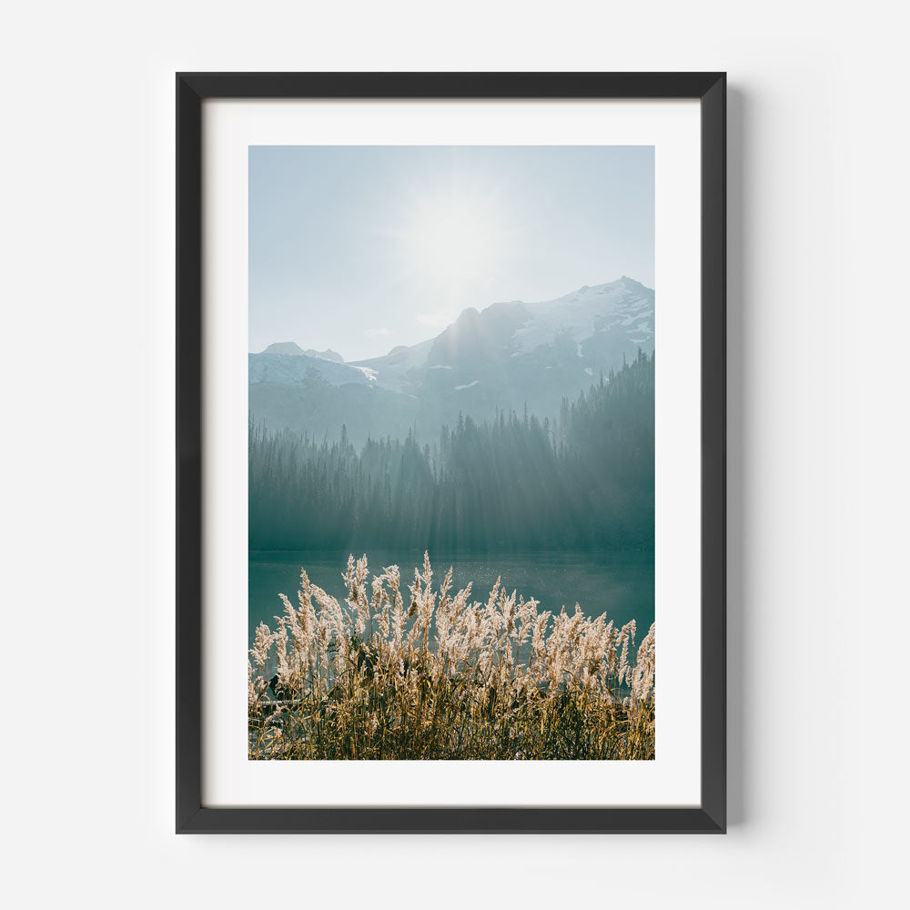 Transform your walls with this exquisite framed photo of Joffre Lakes, showcasing a mountain lake and reeds against a sunny background.