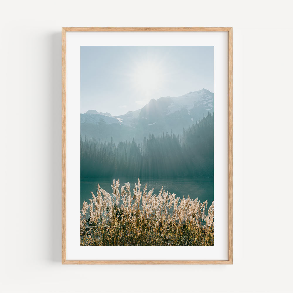Serene mountain lake surrounded by reeds, captured in a beautiful photograph - ideal for wall artwork and home decor.