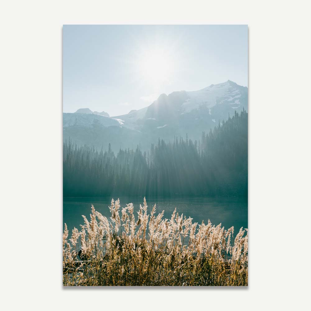 A stunning mountain lake with reeds and a sunlit background - perfect wall art for your home or office decor.