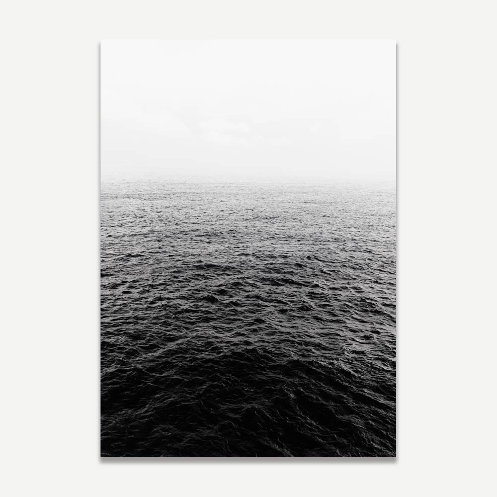 Set of 2 Art Prints - BW Cactus I & BW Ocean