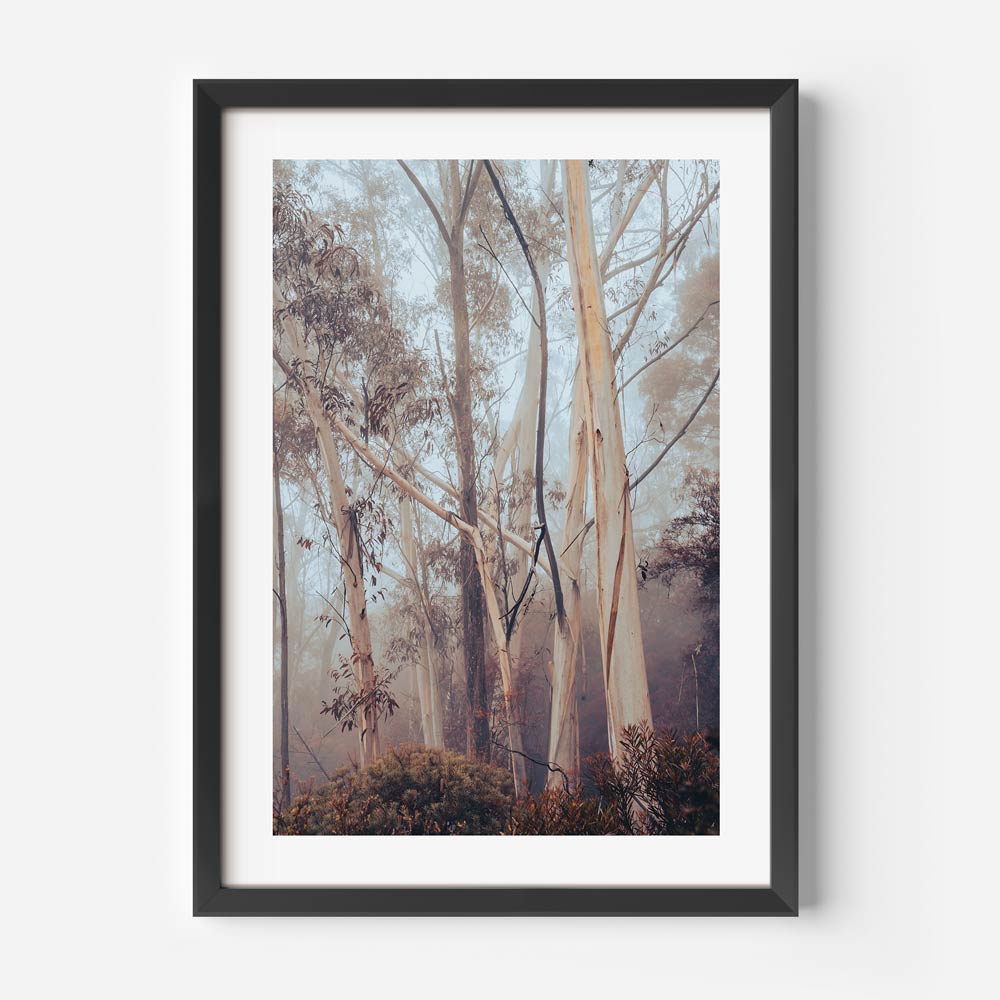 Misty Forest Art Print