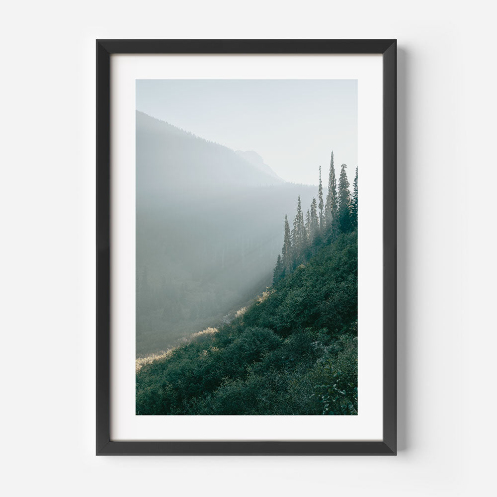 Matier Glow Art Print