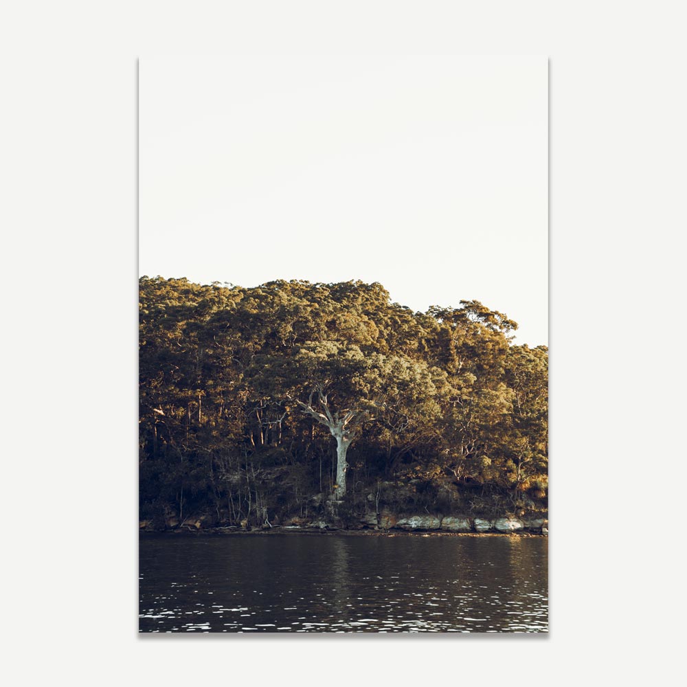 Set of 2 Art Prints - Middle Harbour I & II