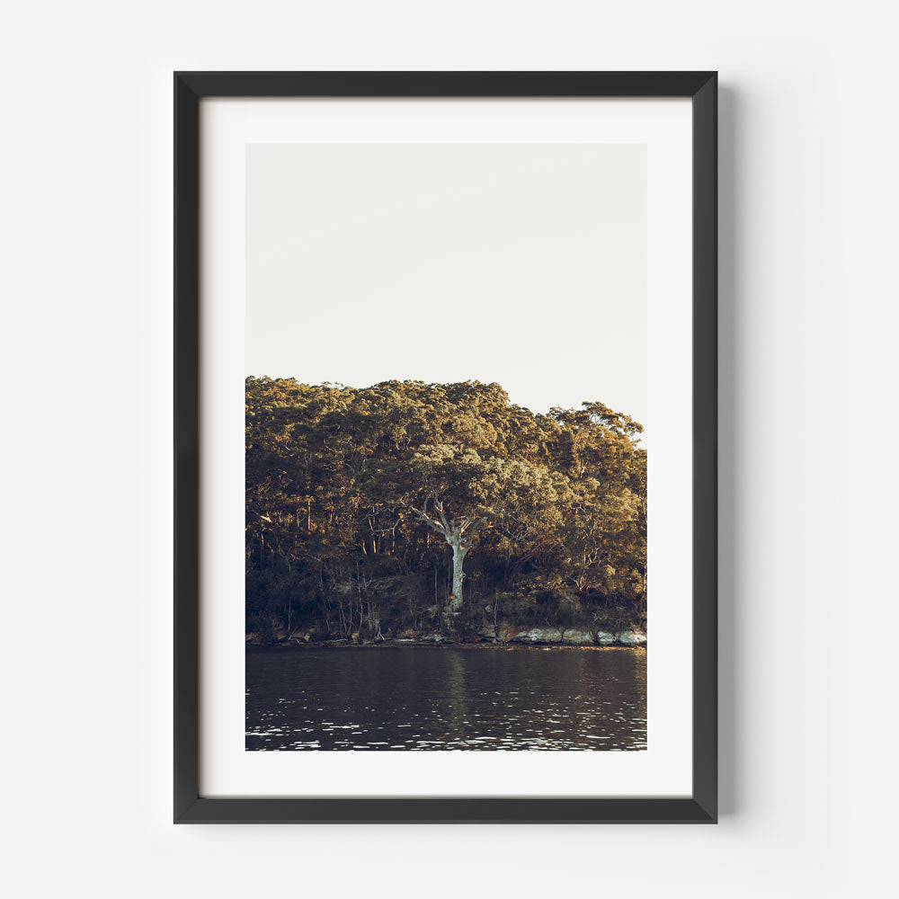 Middle Harbour Art Print