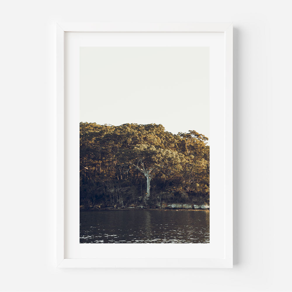Middle Harbour Art Print