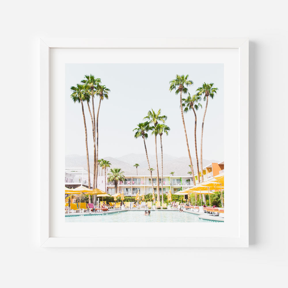 A white framed photo of palm trees and a pool at The Saguaro Hotel in Palm Springs - wall art decor
