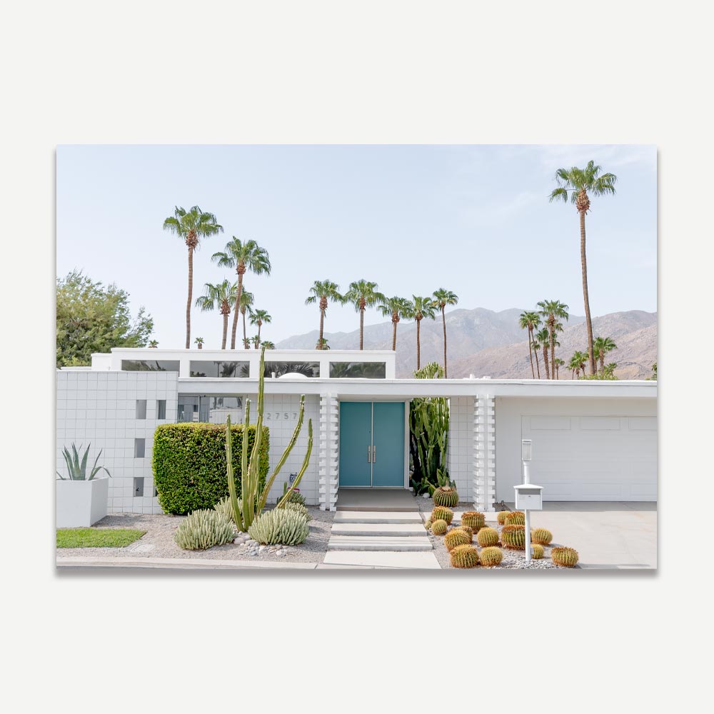 Mid Century modern home , cactus , palm trees , palm springs landscaping , palm springs , Indian Canyon