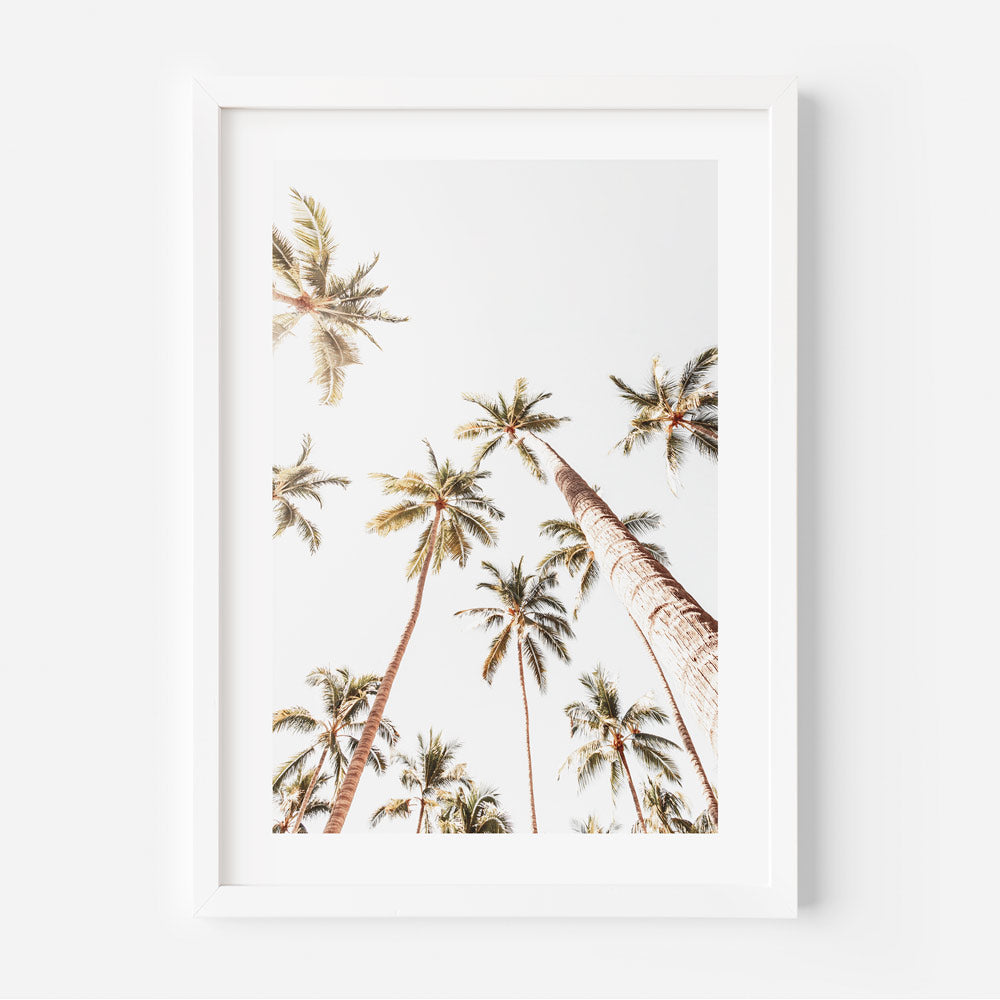 Palm trees in white frame - wall art decor with real photography from Mexico by Oblongshop.