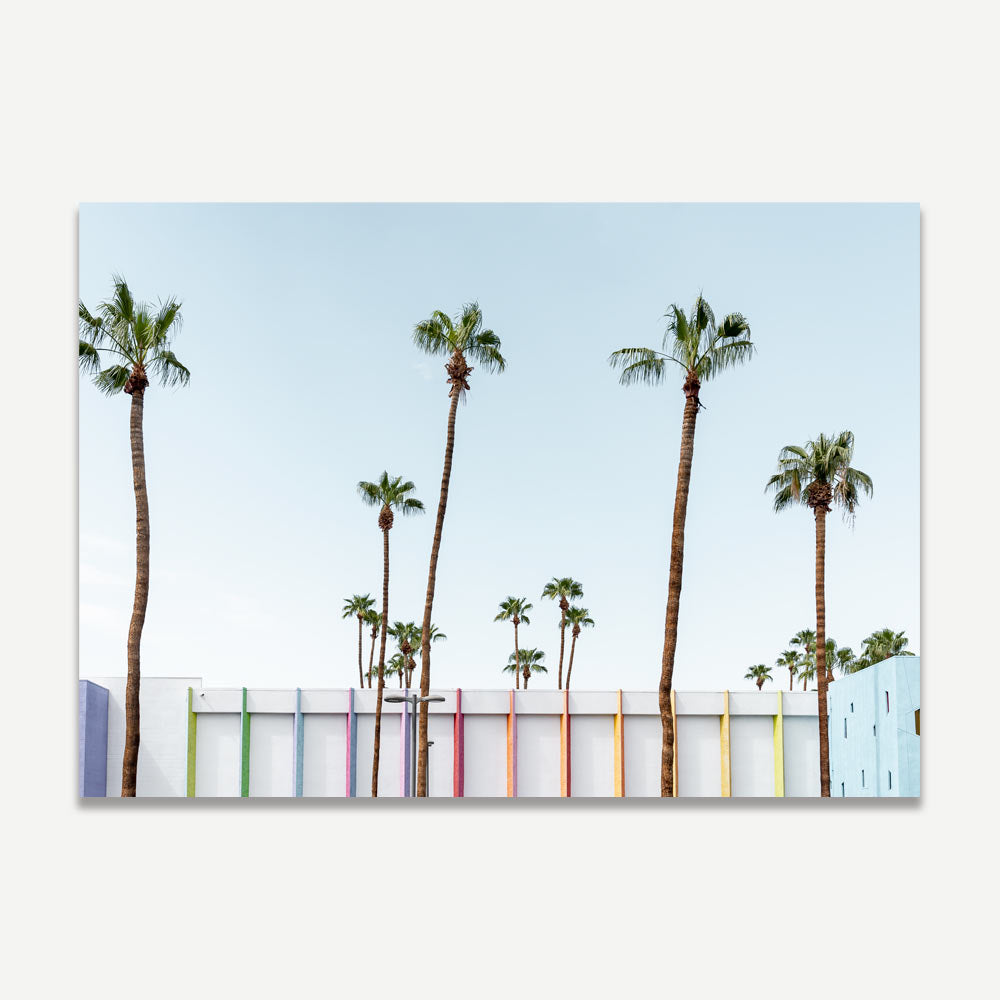 Stunning palm trees at The Saguaro Hotel, ideal for modern artwork and canvas prints.