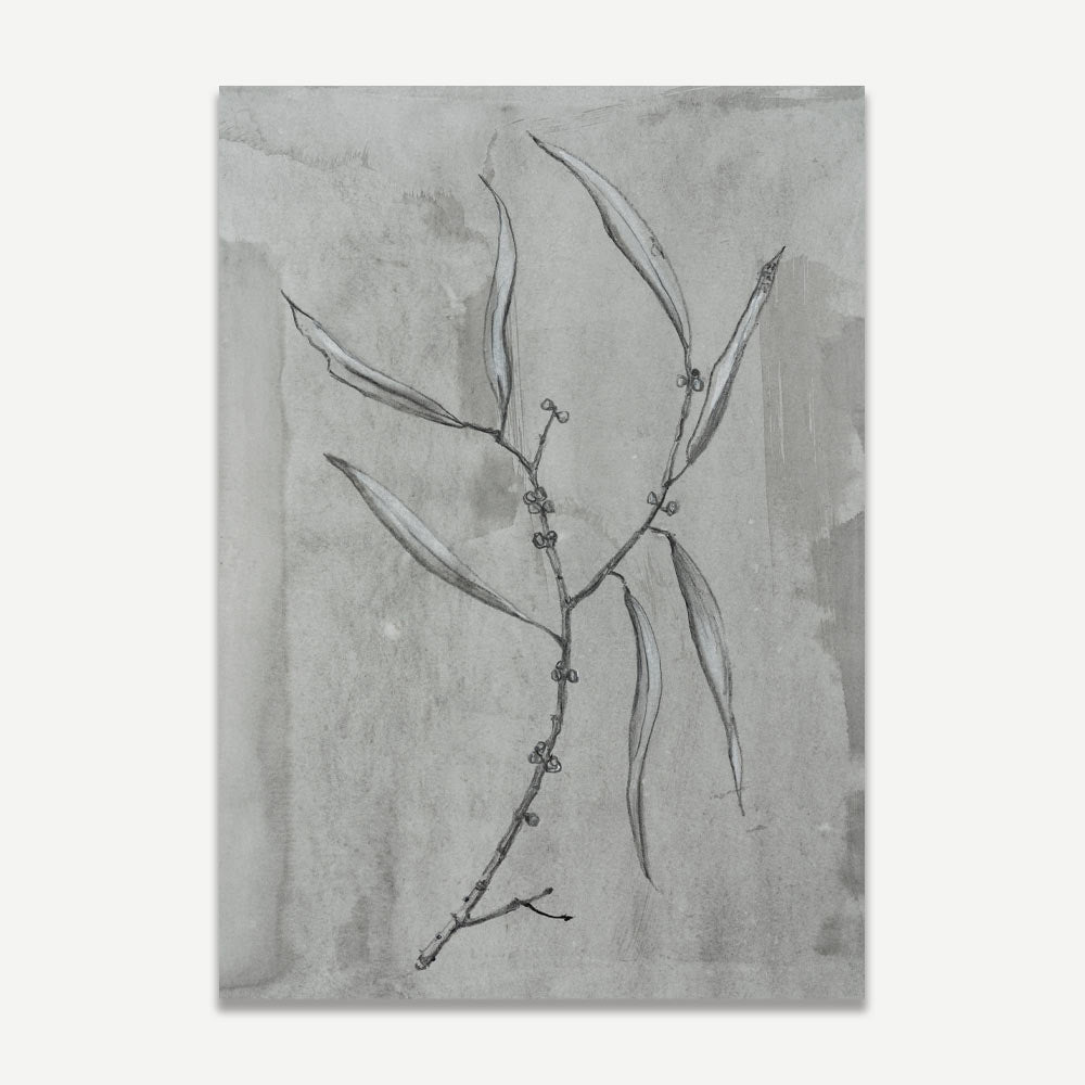 A grayscale image of a plant with elongated leaves against a grey background, representing abstract art.
