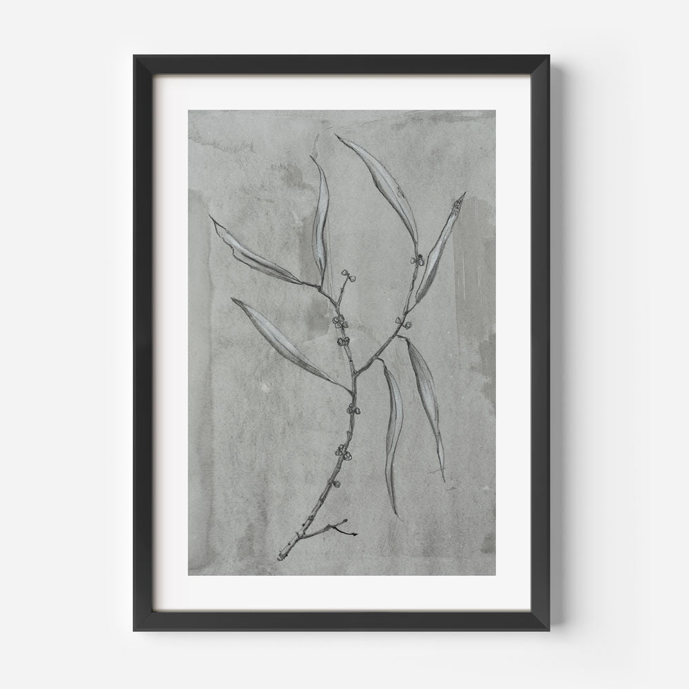 Grey Leaf II Art Print