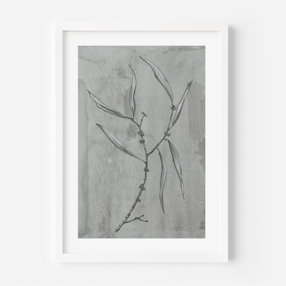 A framed black and white photograph of a plant with multiple slender leaves against a grey background.