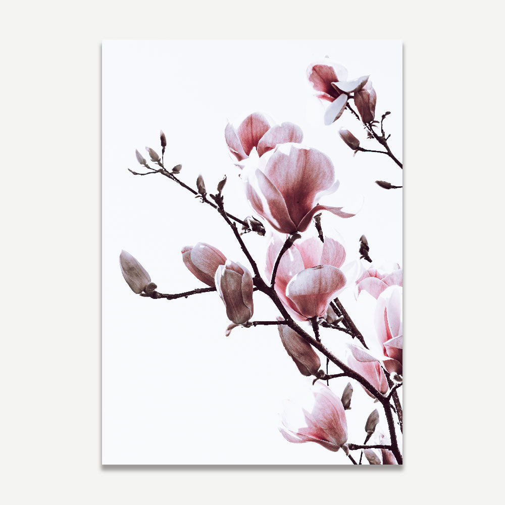 Set of 2 Art Prints - Pink Magnolia I & II