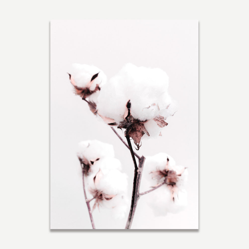 Pink Cotton Flowers Art Print