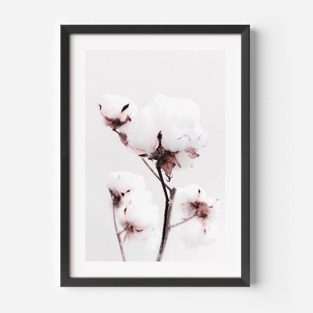 Pink Cotton Flowers Art Print