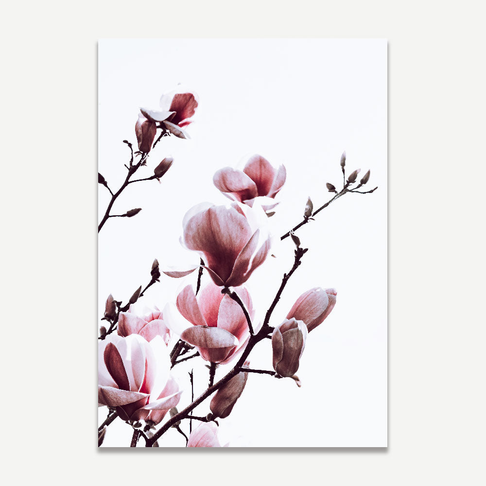 Set of 2 Art Prints - Pink Magnolia I & II