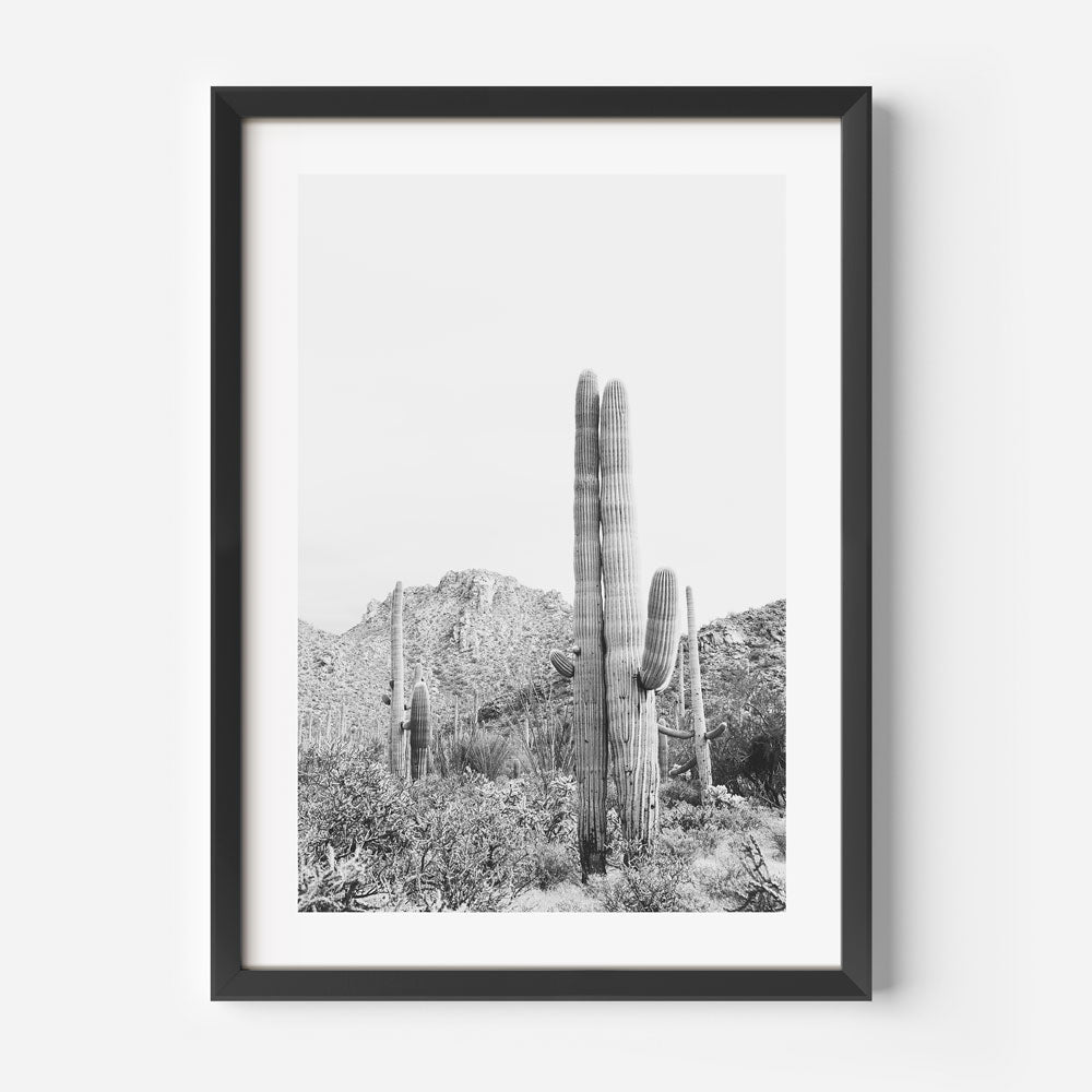BW Tucson Saguaro I Art Print