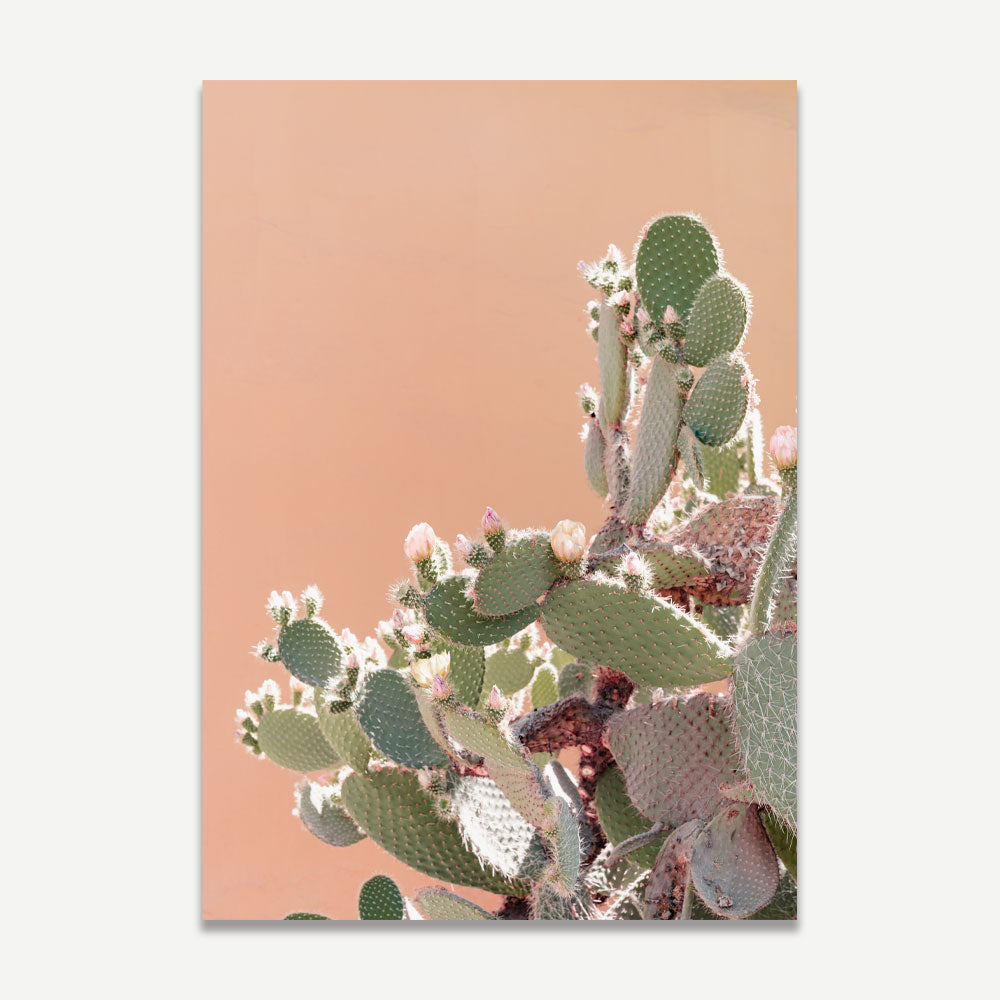 Set of 2 Art Prints - San Esteban II & La Porta