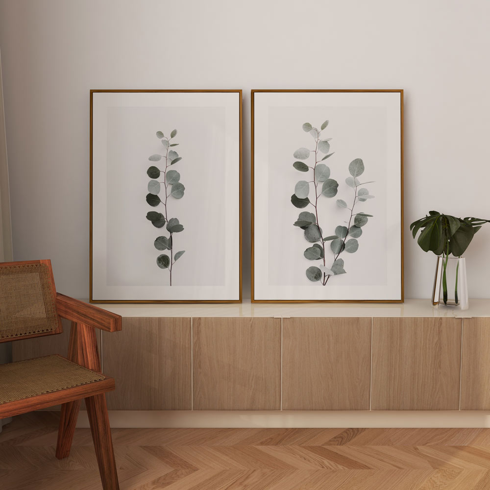 Set of 2 Art Prints - Solo Silver Dollar & Silver Dollar Gum