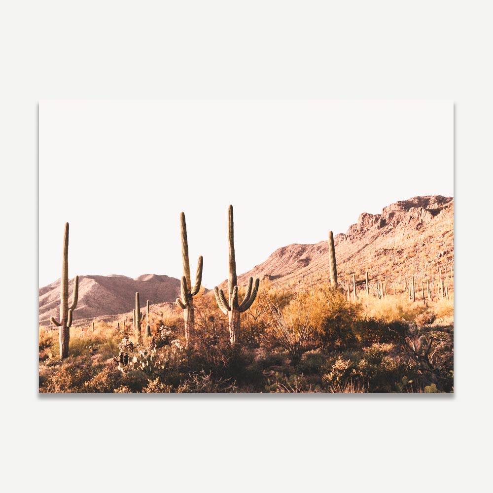 A landscape photograph featuring Saguaro cacti with mountains in the background, predominantly in shades of yellow and pink.