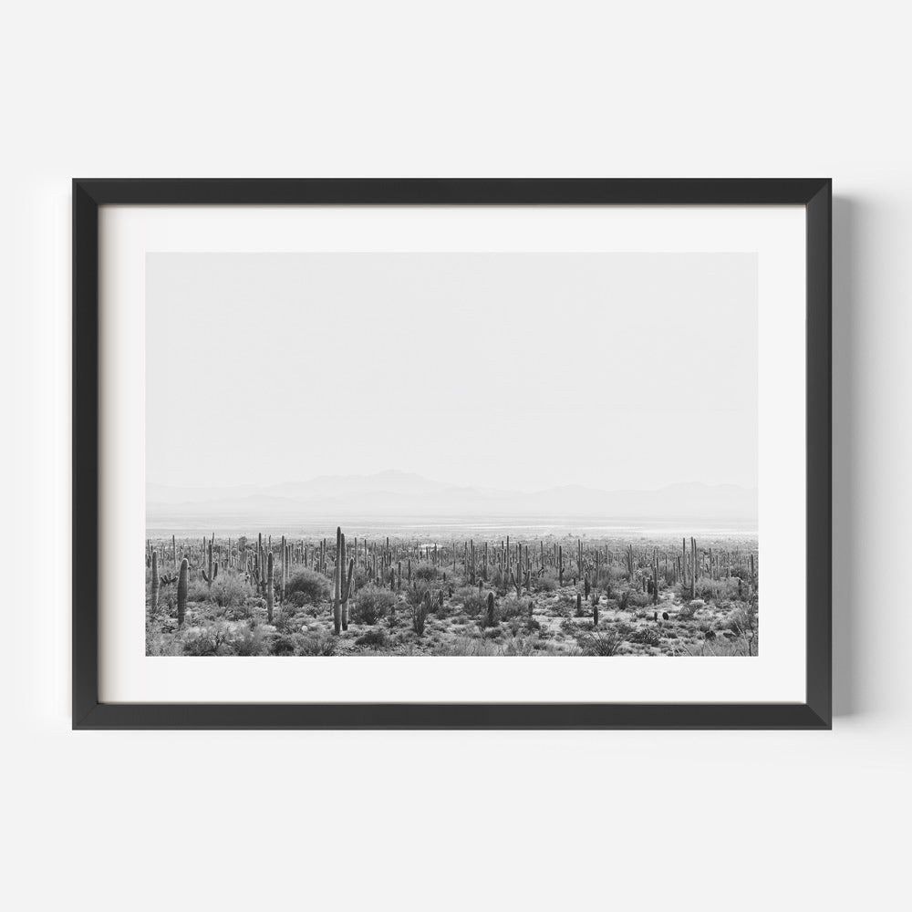 BW Saguaro Tucson I Art Print