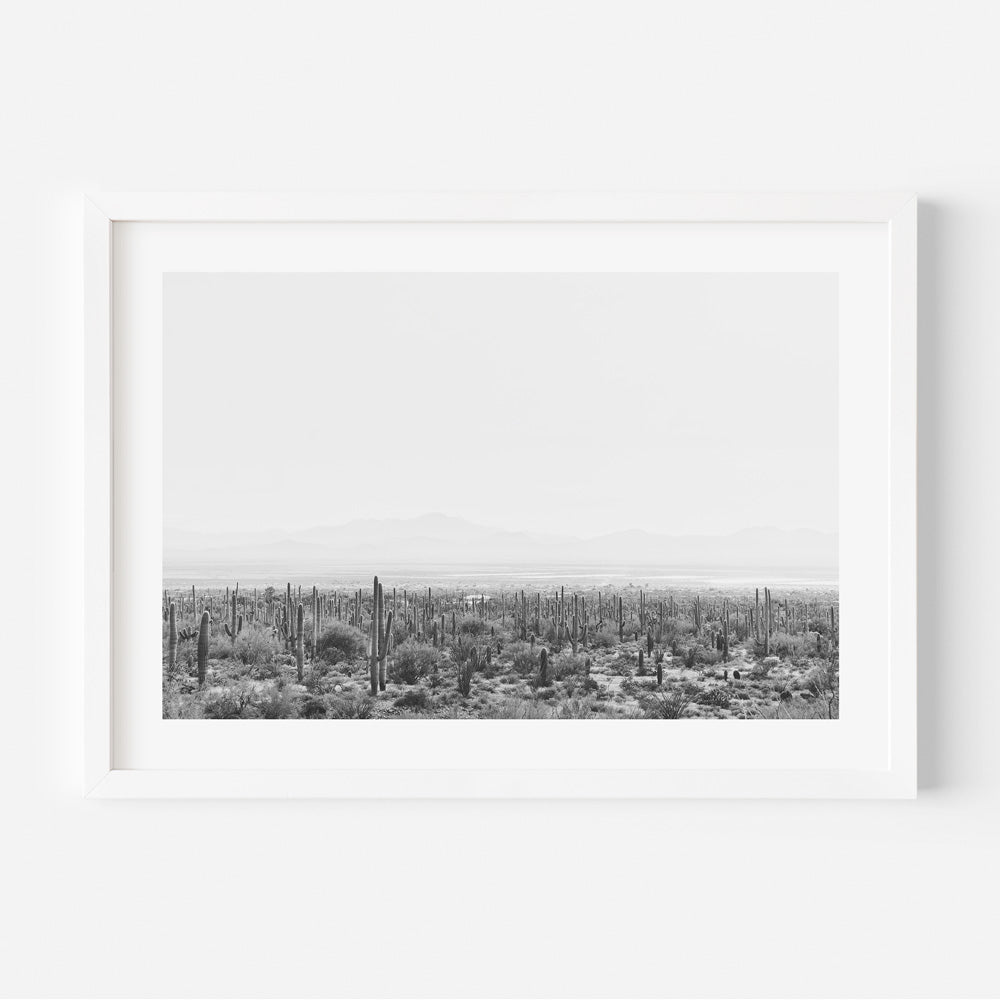 BW Saguaro Tucson I Art Print