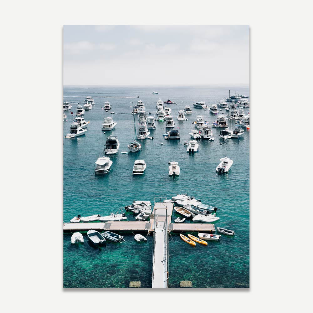Beautiful Catalina Island marina with boats from a mountaintop view - stunning for modern artwork and canvas prints.