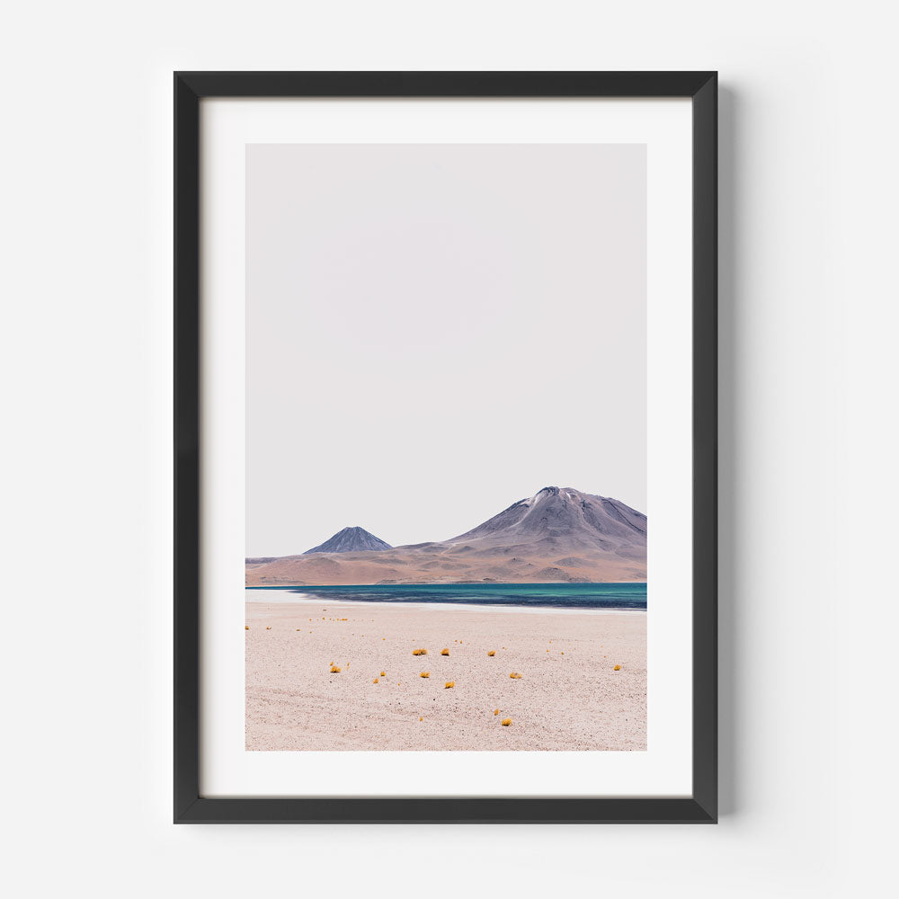 Miscanti Lagoon Art Print