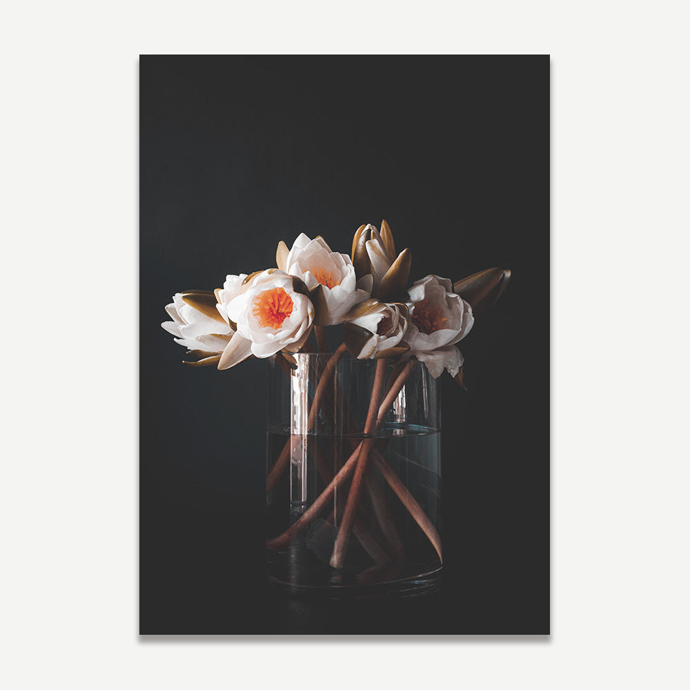 An art print featuring a photograph of pink water lilies in a clear vase against a dark background.
