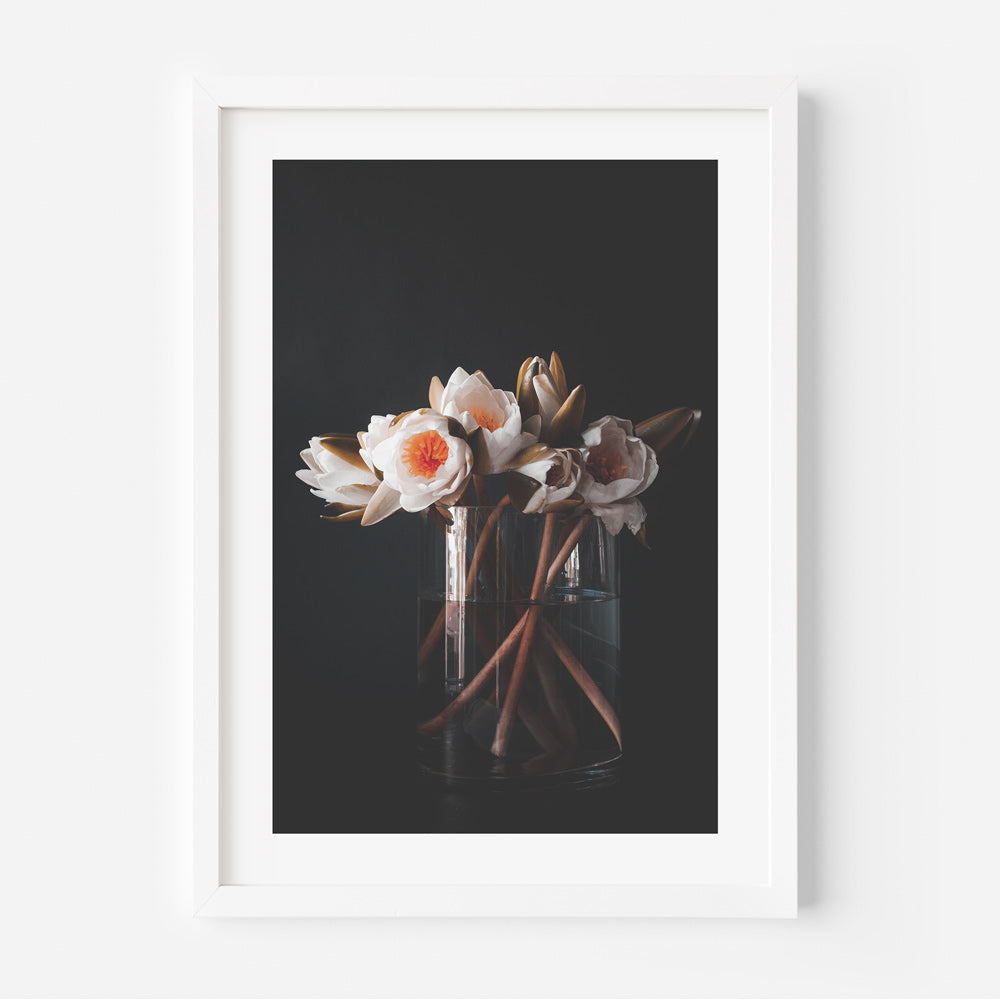 Water Lilies in a Vase Art Print
