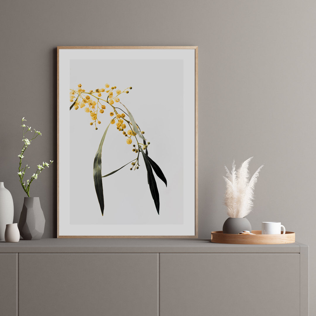 Wattle Flowers Art Print