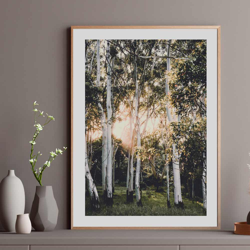 Wall artwork - captivating image of ghost gums at dawn, ideal for adding beauty to your walls.