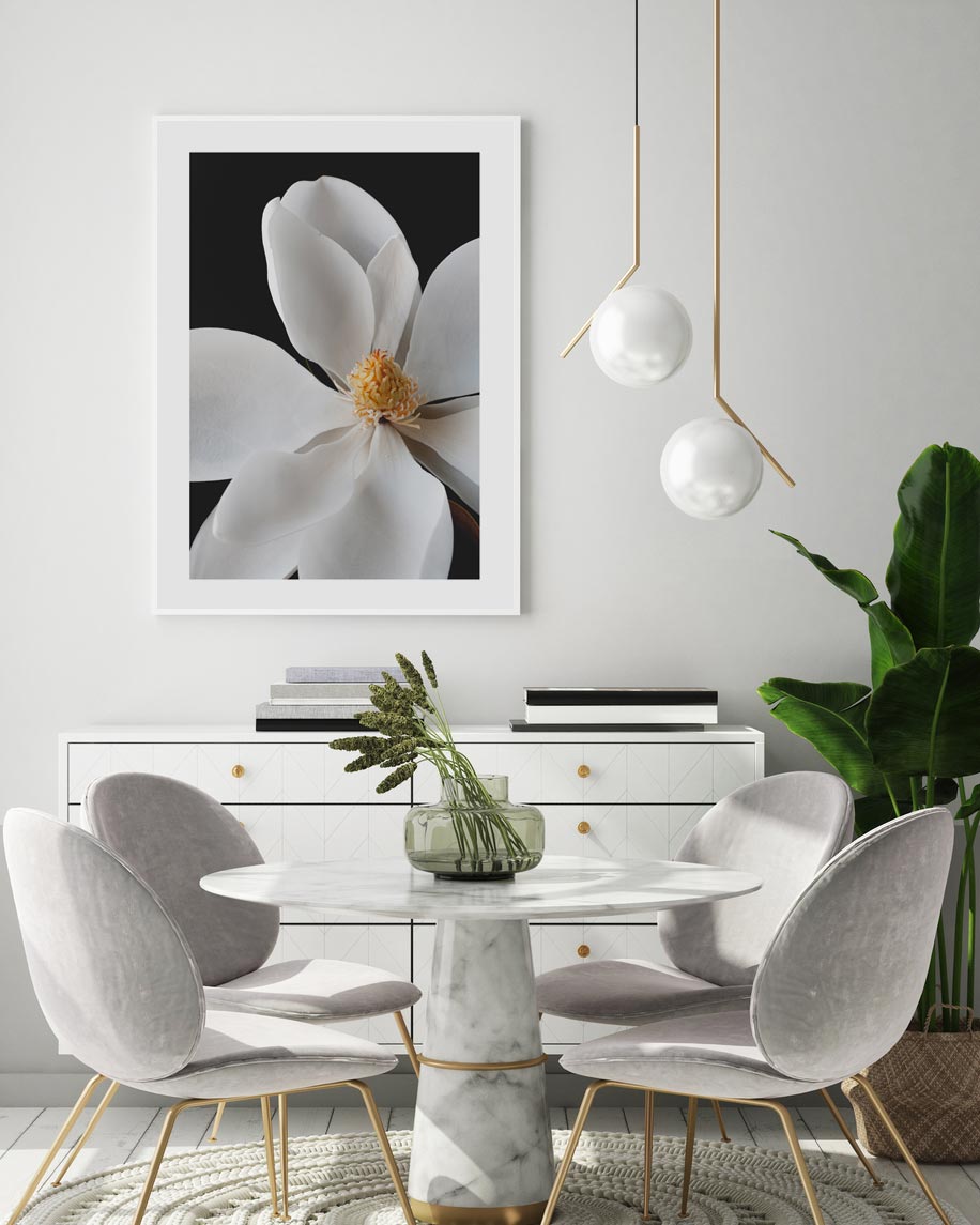 White Magnolia Art Print