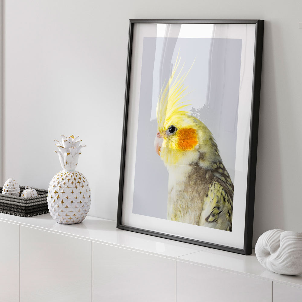 Yellow Cockatiel Art Print