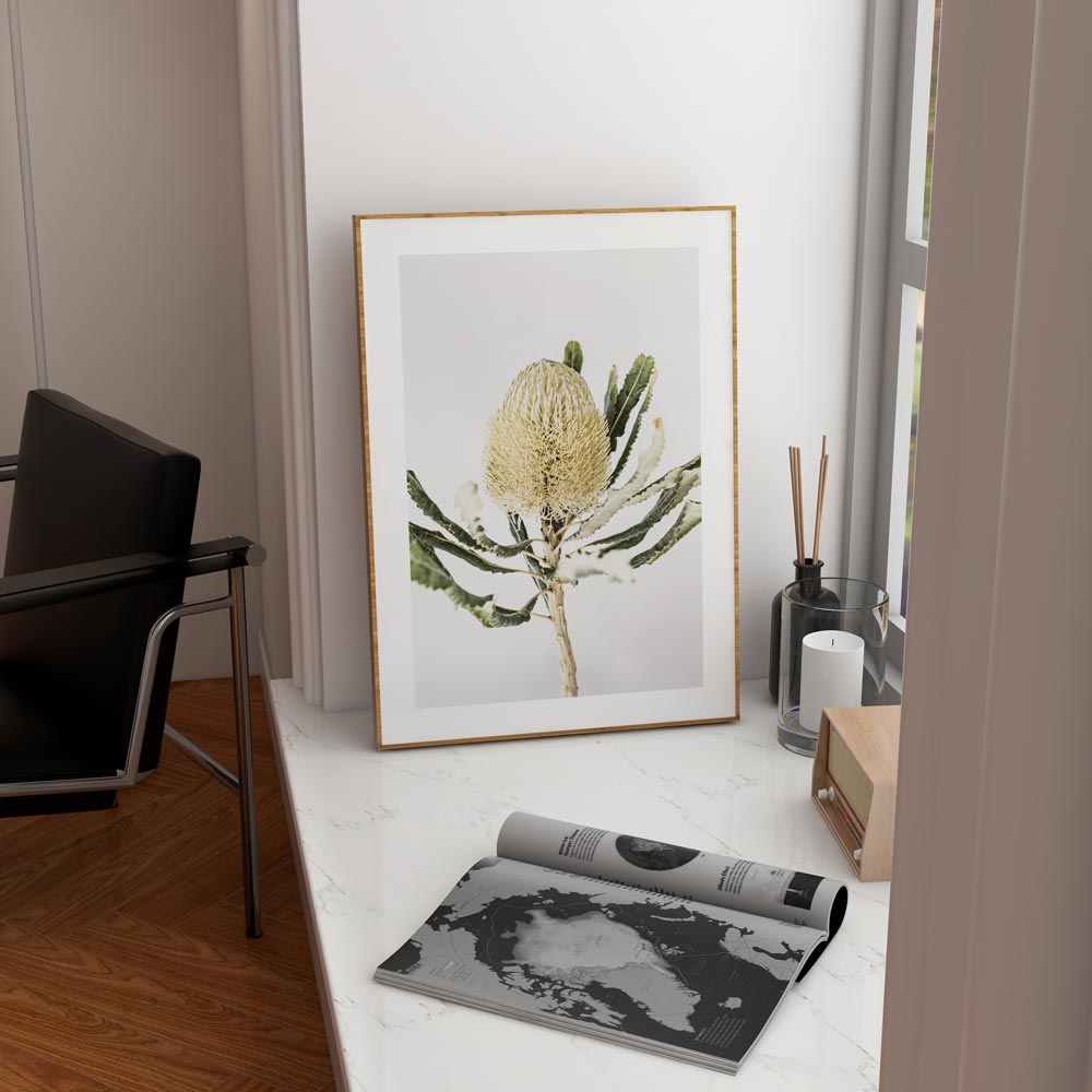 Yellow Banksia Art Print