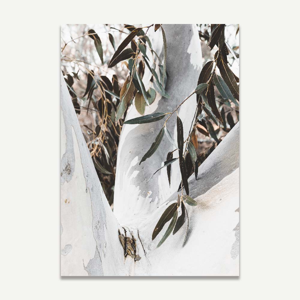 Eucalyptus Tree Artwork: Vibrant portrayal of an iconic eucalyptus tree, perfect for nature lovers seeking modern wall art for their home.