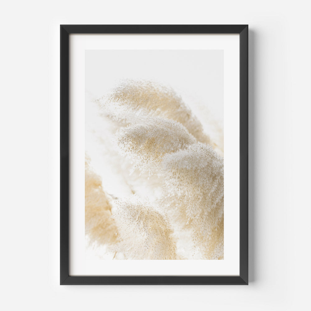 Fine Art Print: Breathtaking poster showcasing Pampas Grass, photographed by Oblongshop, suitable for fine arts and wall decor.
