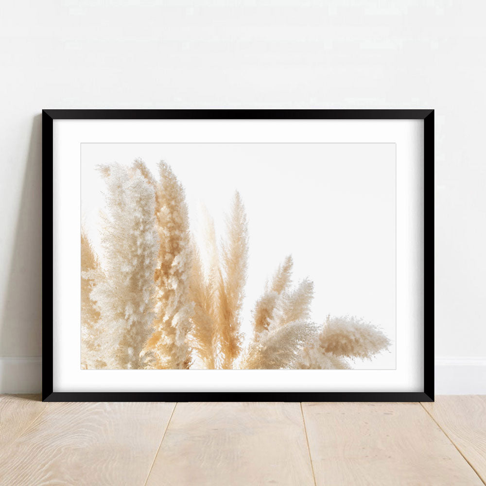 Framed print showcasing the delicate beauty of Pampas Grass, adding a sense of elegance to your wall art collection.