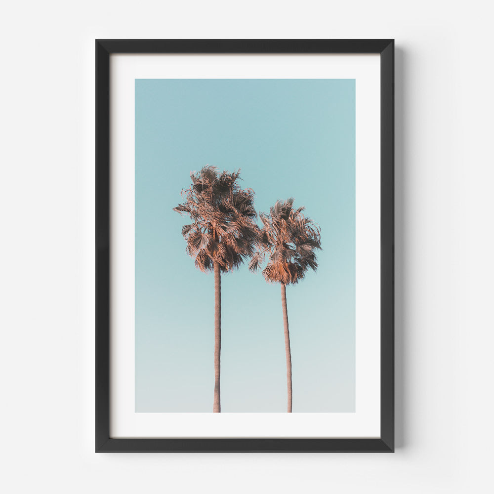 Palm Tree Paradise: A framed photograph featuring twin palm trees against a picturesque California sky, suitable for wall art.